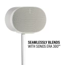 BSSEA2, White, Blends with Era 300