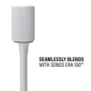 WSSE11, Seamlessly blends with Sonos Era 100