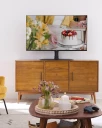 MFTVB1, TV with stand on furniture