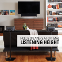 WSS21 Holds speakers at optimal listening height