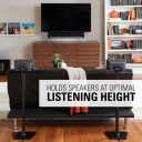 WSS22 Holds speakers at optimal listening height