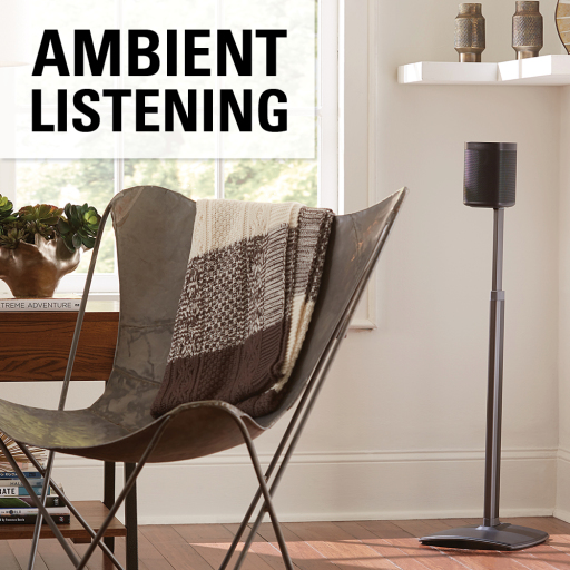 WSSA1-B1 Ambient Listening One Speaker